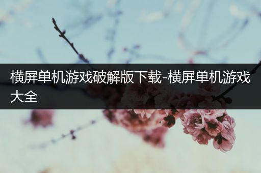 横屏单机游戏破解版下载-横屏单机游戏大全