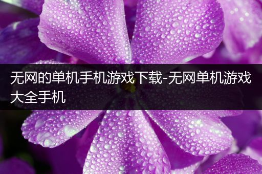 无网的单机手机游戏下载-无网单机游戏大全手机