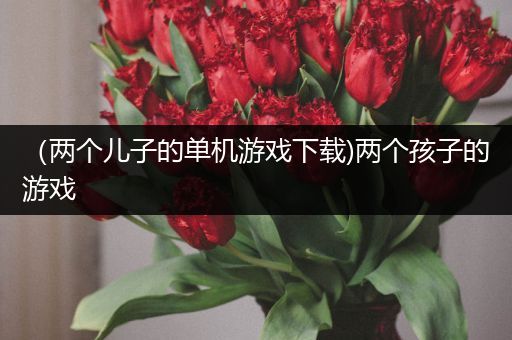 （两个儿子的单机游戏下载)两个孩子的游戏