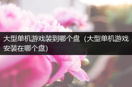 大型单机游戏装到哪个盘（大型单机游戏安装在哪个盘）
