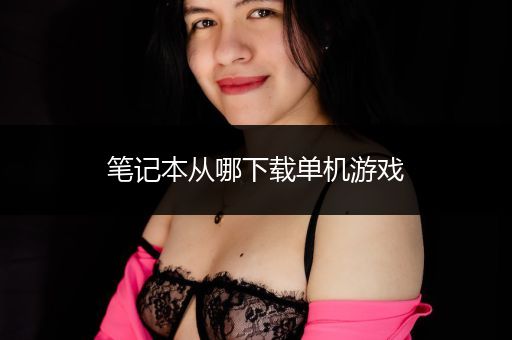 笔记本从哪下载单机游戏