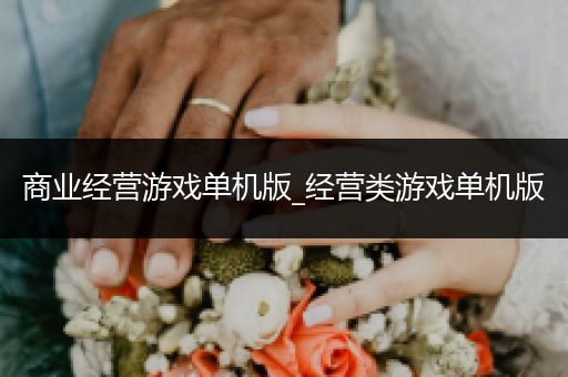 商业经营游戏单机版_经营类游戏单机版