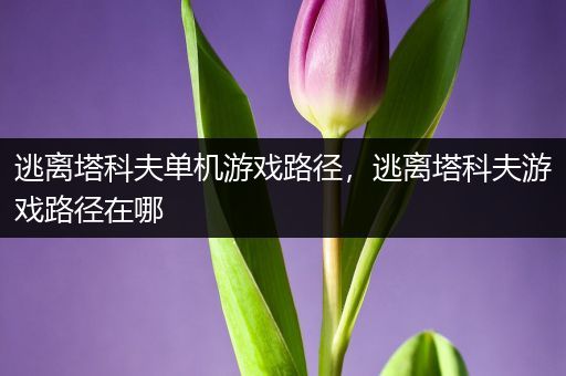 逃离塔科夫单机游戏路径，逃离塔科夫游戏路径在哪