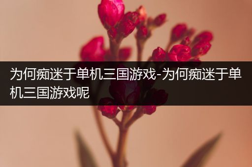 为何痴迷于单机三国游戏-为何痴迷于单机三国游戏呢