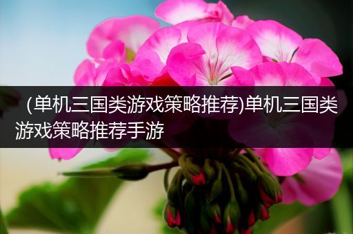 （单机三国类游戏策略推荐)单机三国类游戏策略推荐手游