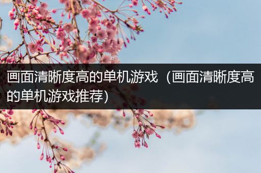 画面清晰度高的单机游戏（画面清晰度高的单机游戏推荐）
