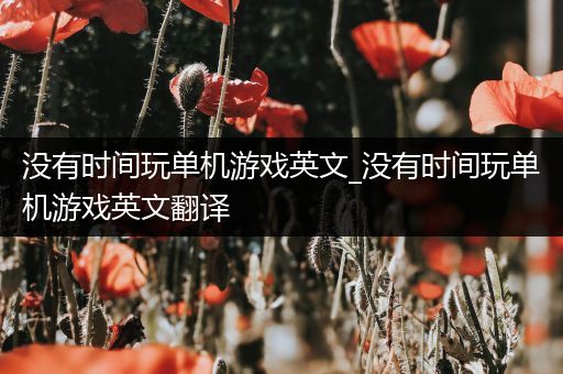 没有时间玩单机游戏英文_没有时间玩单机游戏英文翻译