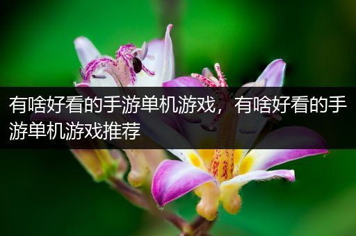 有啥好看的手游单机游戏，有啥好看的手游单机游戏推荐