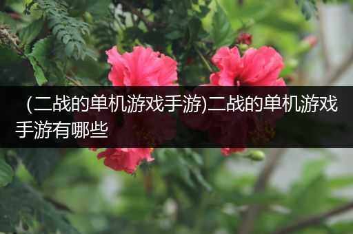 （二战的单机游戏手游)二战的单机游戏手游有哪些