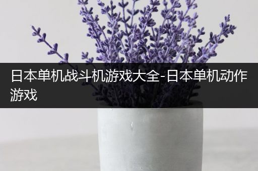 日本单机战斗机游戏大全-日本单机动作游戏