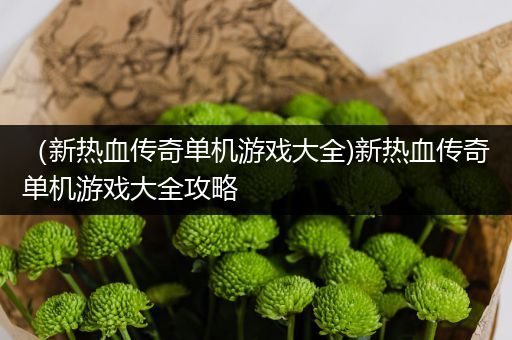 （新热血传奇单机游戏大全)新热血传奇单机游戏大全攻略