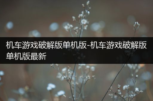 机车游戏破解版单机版-机车游戏破解版单机版最新