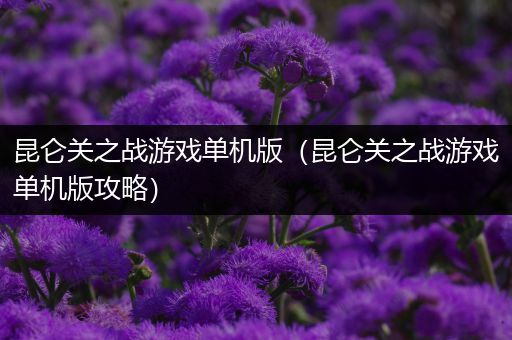 昆仑关之战游戏单机版（昆仑关之战游戏单机版攻略）