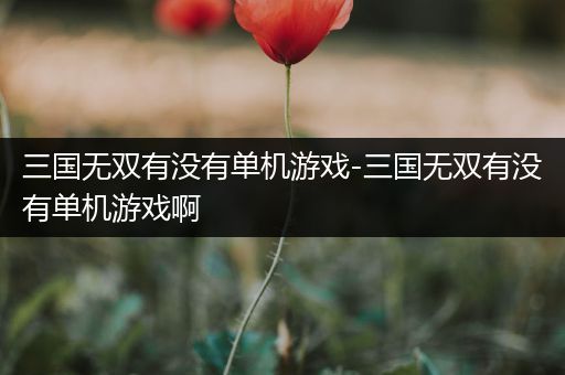 三国无双有没有单机游戏-三国无双有没有单机游戏啊