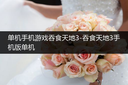 单机手机游戏吞食天地3-吞食天地3手机版单机
