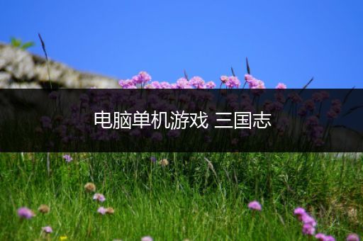 电脑单机游戏 三国志
