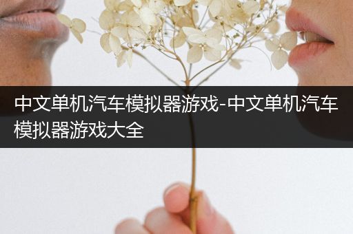 中文单机汽车模拟器游戏-中文单机汽车模拟器游戏大全