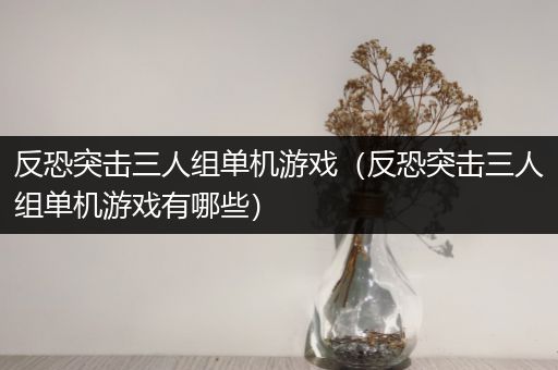 反恐突击三人组单机游戏（反恐突击三人组单机游戏有哪些）