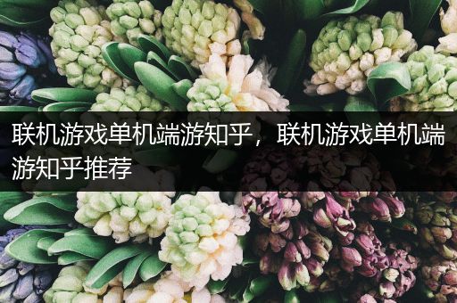 联机游戏单机端游知乎，联机游戏单机端游知乎推荐