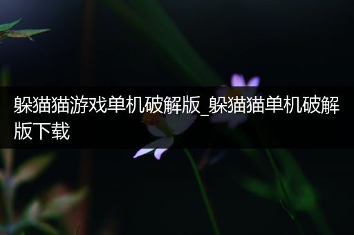 躲猫猫游戏单机破解版_躲猫猫单机破解版下载