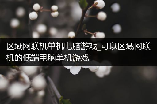 区域网联机单机电脑游戏_可以区域网联机的低端电脑单机游戏