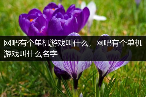 网吧有个单机游戏叫什么，网吧有个单机游戏叫什么名字