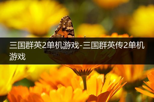 三国群英2单机游戏-三国群英传2单机游戏