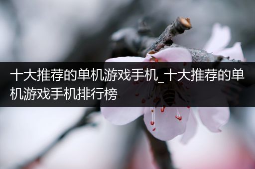 十大推荐的单机游戏手机_十大推荐的单机游戏手机排行榜