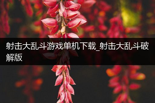 射击大乱斗游戏单机下载_射击大乱斗破解版