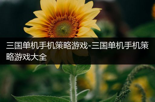 三国单机手机策略游戏-三国单机手机策略游戏大全