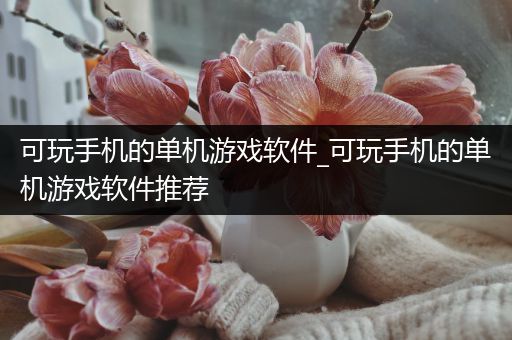 可玩手机的单机游戏软件_可玩手机的单机游戏软件推荐