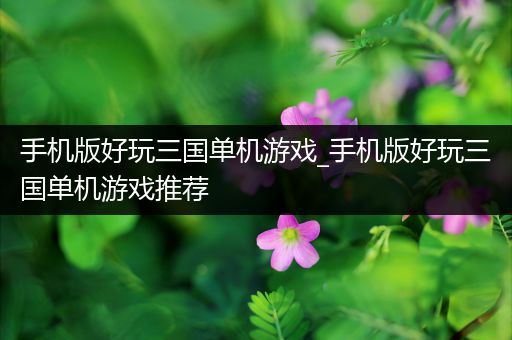 手机版好玩三国单机游戏_手机版好玩三国单机游戏推荐
