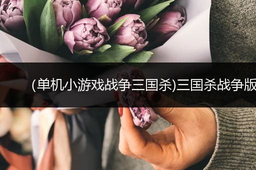 （单机小游戏战争三国杀)三国杀战争版