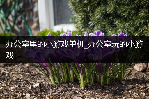 办公室里的小游戏单机_办公室玩的小游戏