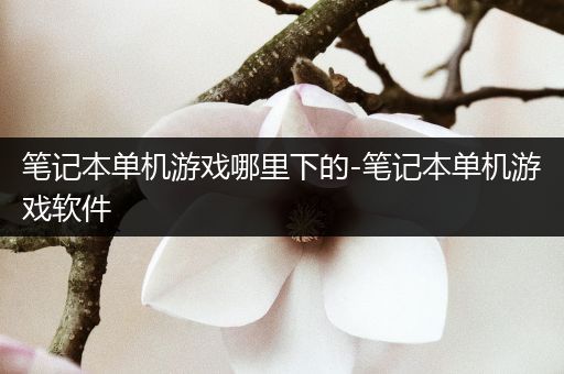 笔记本单机游戏哪里下的-笔记本单机游戏软件