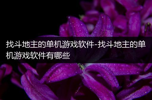 找斗地主的单机游戏软件-找斗地主的单机游戏软件有哪些