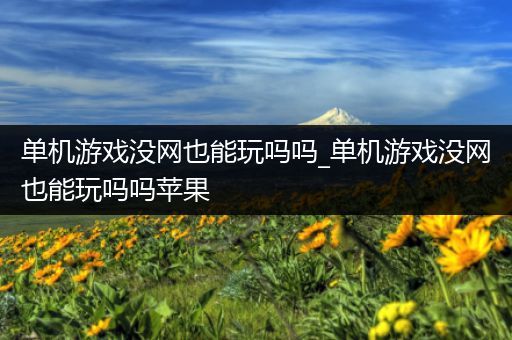 单机游戏没网也能玩吗吗_单机游戏没网也能玩吗吗苹果