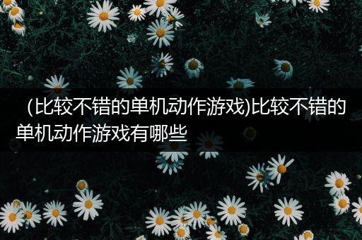 （比较不错的单机动作游戏)比较不错的单机动作游戏有哪些