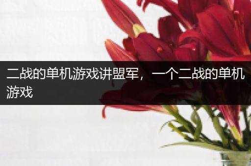 二战的单机游戏讲盟军，一个二战的单机游戏