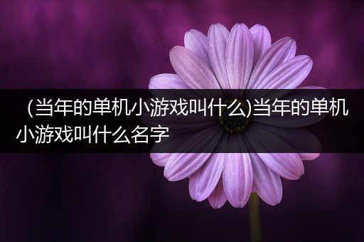 （当年的单机小游戏叫什么)当年的单机小游戏叫什么名字