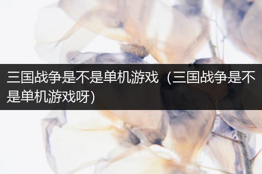 三国战争是不是单机游戏（三国战争是不是单机游戏呀）