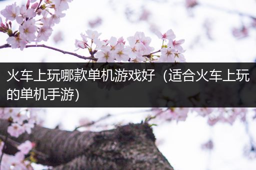 火车上玩哪款单机游戏好（适合火车上玩的单机手游）