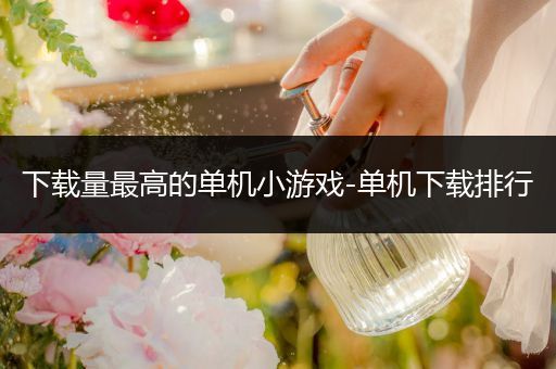 下载量最高的单机小游戏-单机下载排行