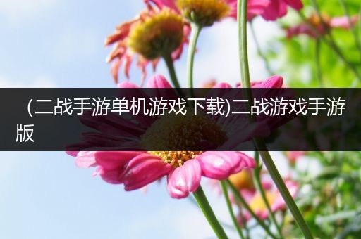 （二战手游单机游戏下载)二战游戏手游版