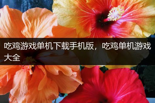 吃鸡游戏单机下载手机版，吃鸡单机游戏大全
