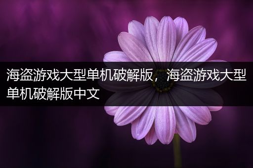 海盗游戏大型单机破解版，海盗游戏大型单机破解版中文