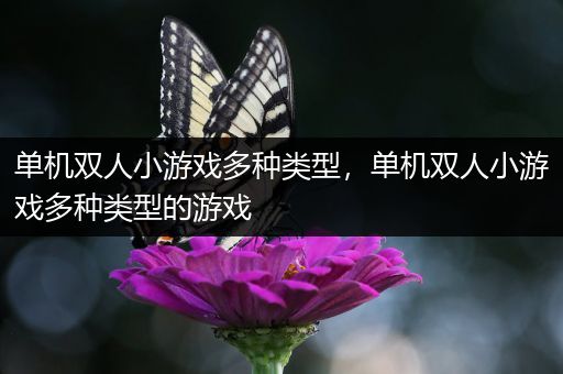 单机双人小游戏多种类型，单机双人小游戏多种类型的游戏