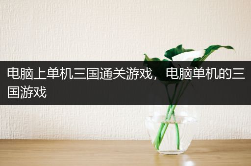 电脑上单机三国通关游戏，电脑单机的三国游戏