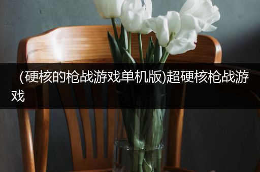 （硬核的枪战游戏单机版)超硬核枪战游戏