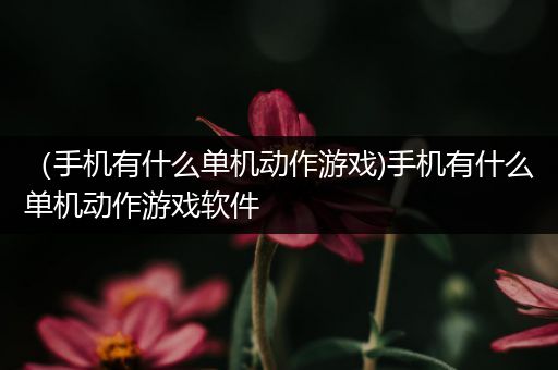 （手机有什么单机动作游戏)手机有什么单机动作游戏软件